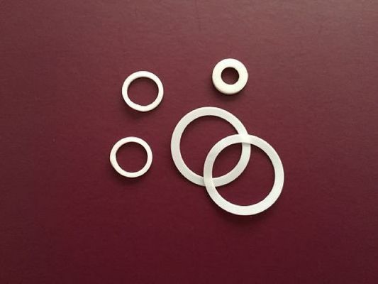 Het goede Smeren PTFE Ring Gasket