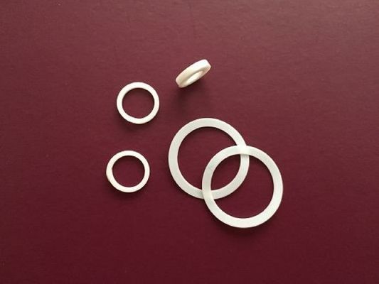 Het goede Smeren PTFE Ring Gasket