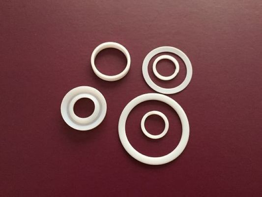 Het goede Smeren PTFE Ring Gasket
